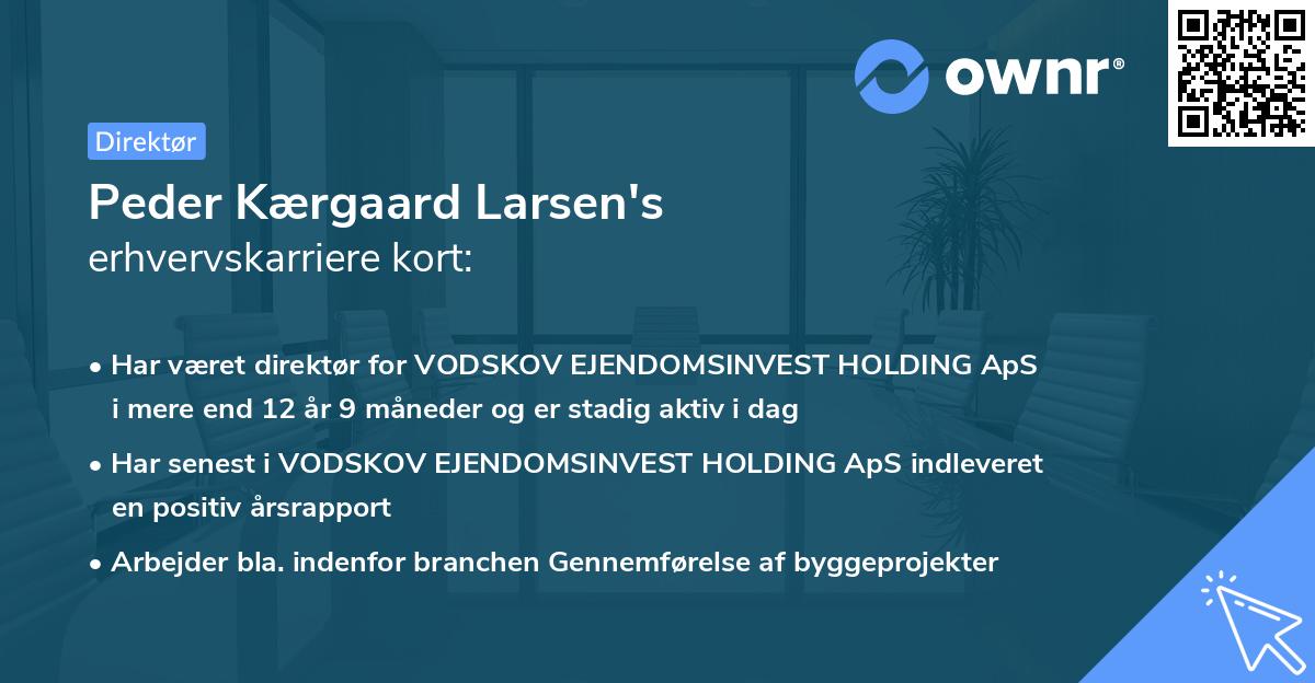 Peder Kærgaard Larsen's erhvervskarriere kort