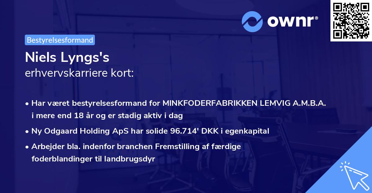 Niels Lyngs's erhvervskarriere kort