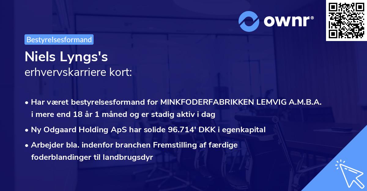 Niels Lyngs's erhvervskarriere kort