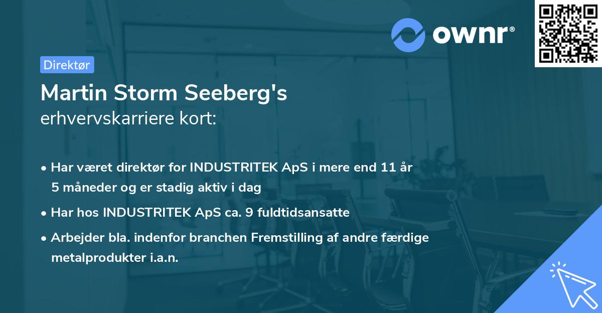 Martin Storm Seeberg's erhvervskarriere kort