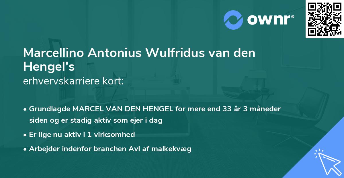 Marcellino Antonius Wulfridus van den Hengel's erhvervskarriere kort