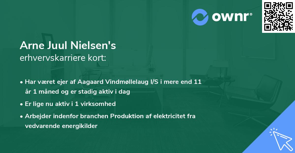 Arne Juul Nielsen's erhvervskarriere kort