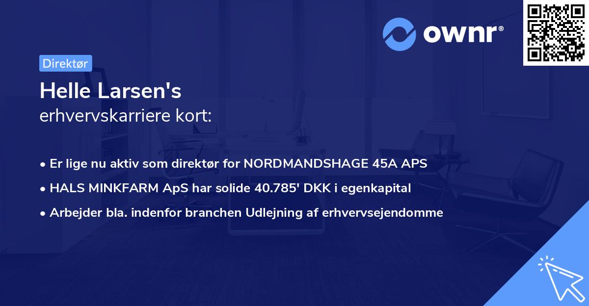 Helle Larsen's erhvervskarriere kort