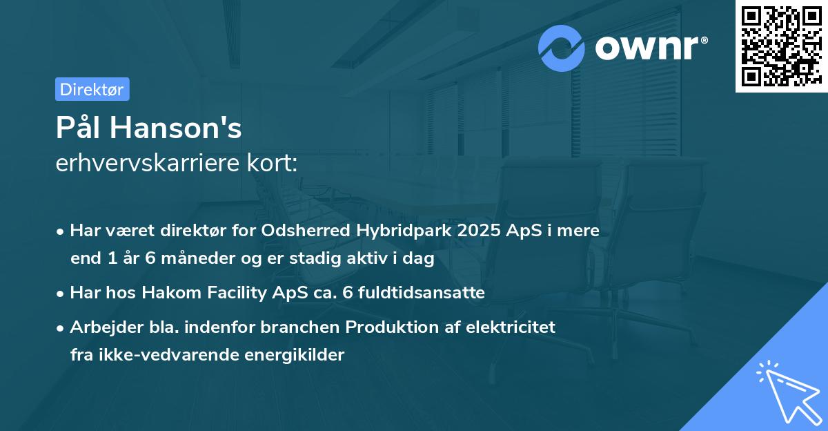 Pål Hanson's erhvervskarriere kort