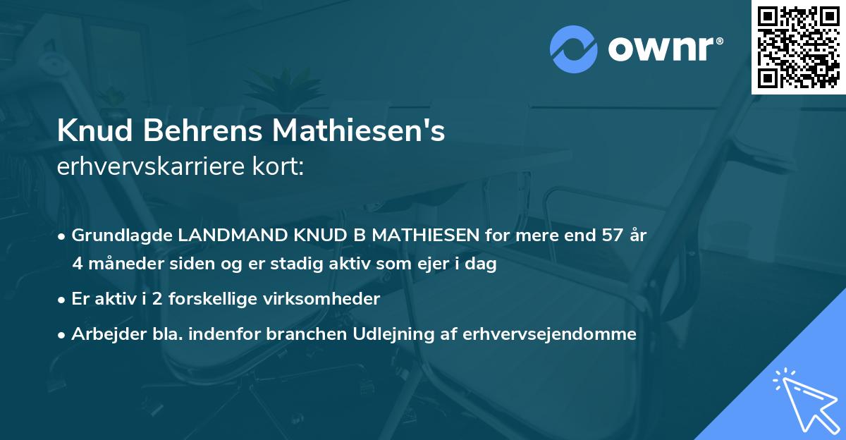 Knud Behrens Mathiesen's erhvervskarriere kort