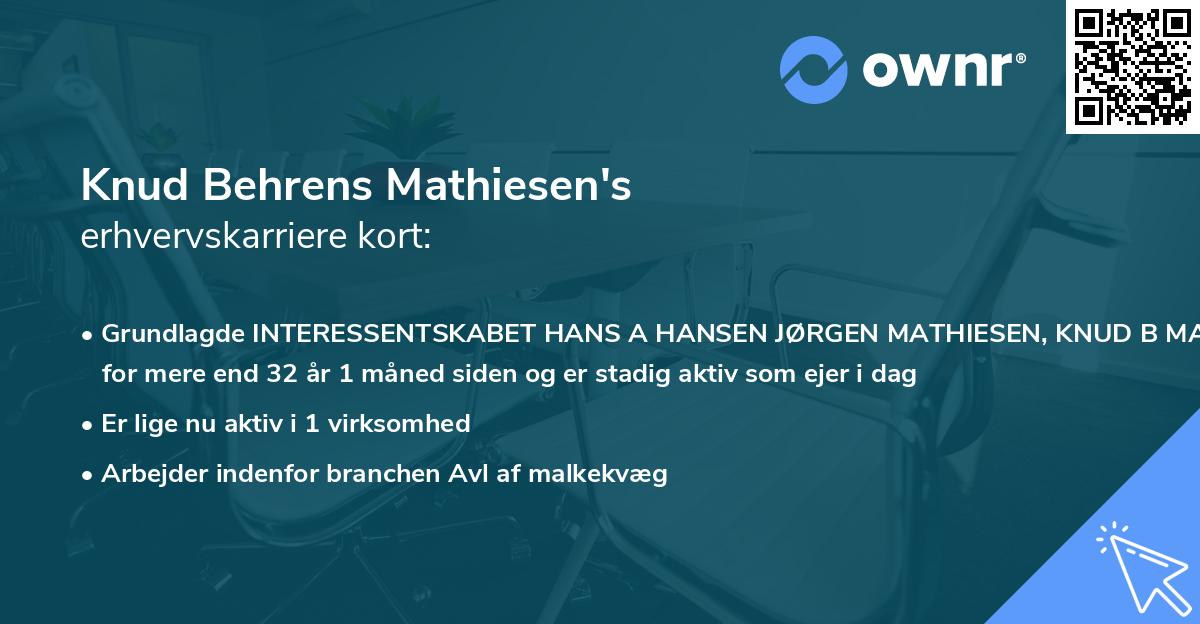 Knud Behrens Mathiesen's erhvervskarriere kort