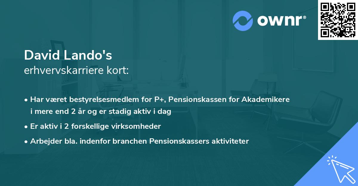 David Lando's erhvervskarriere kort