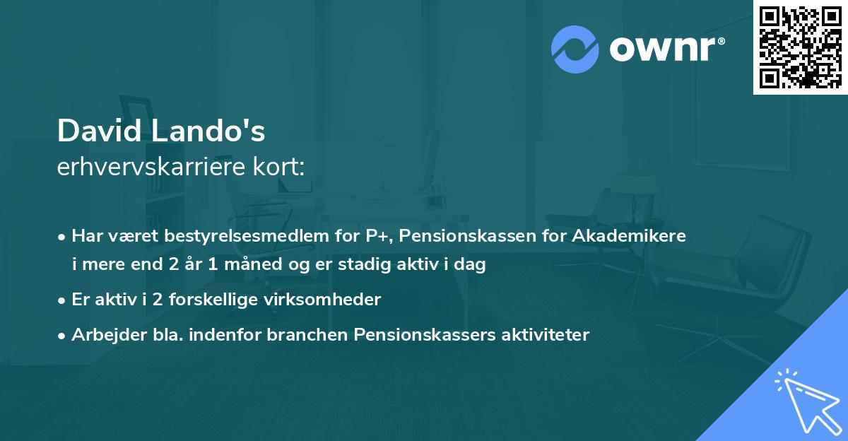 David Lando's erhvervskarriere kort