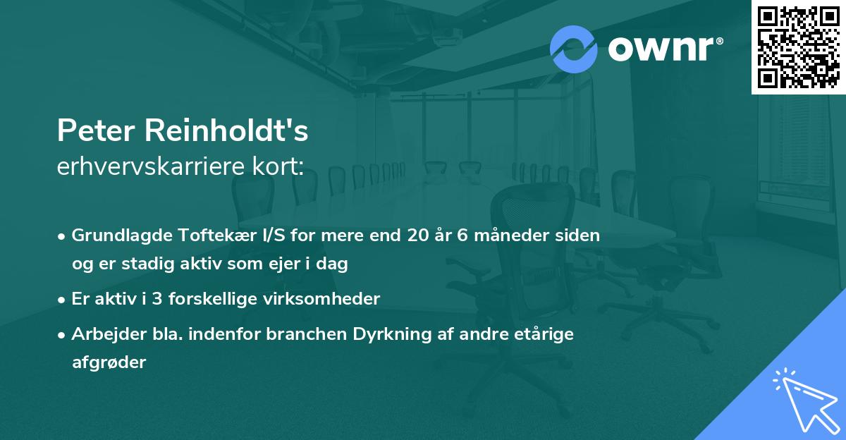 Peter Reinholdt's erhvervskarriere kort