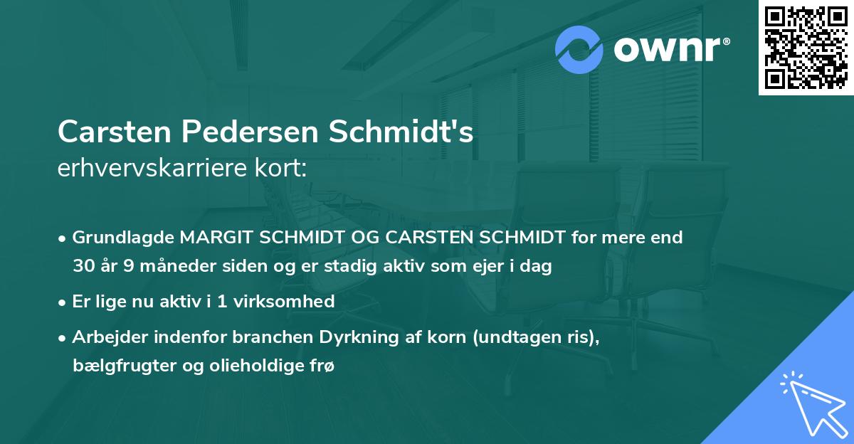 Carsten Pedersen Schmidt's erhvervskarriere kort