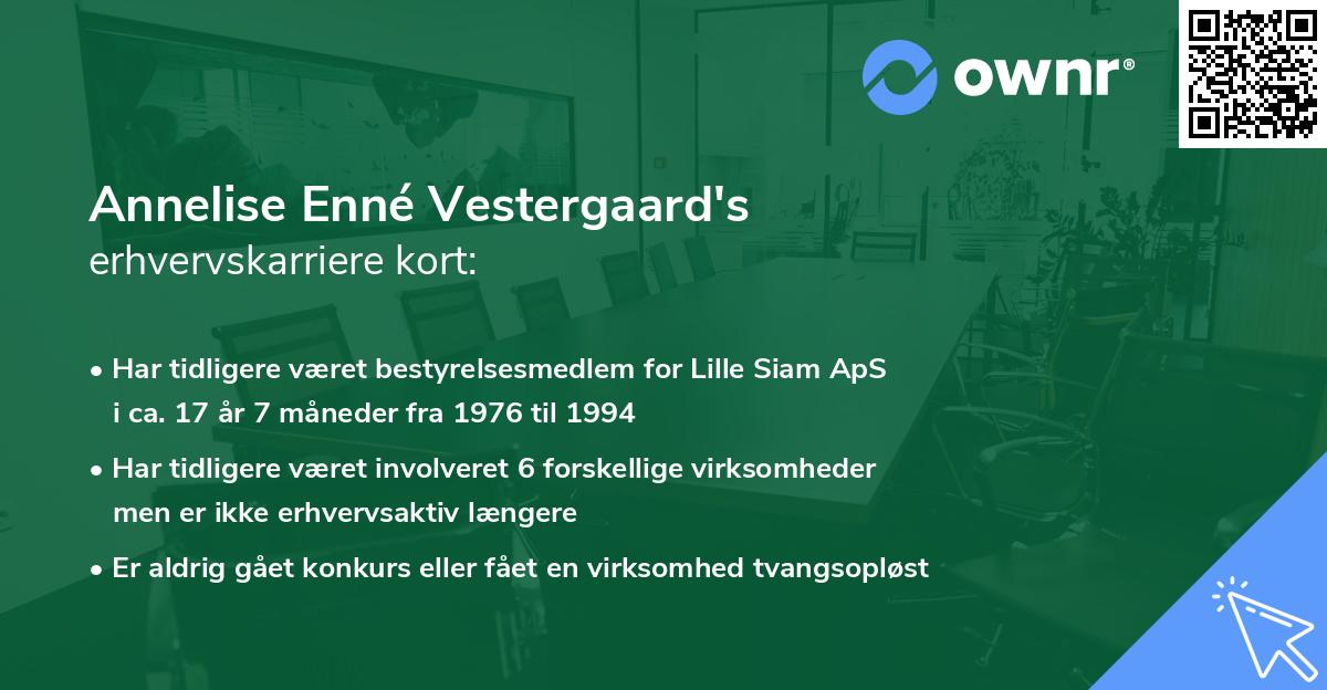 Annelise Enné Vestergaard's erhvervskarriere kort