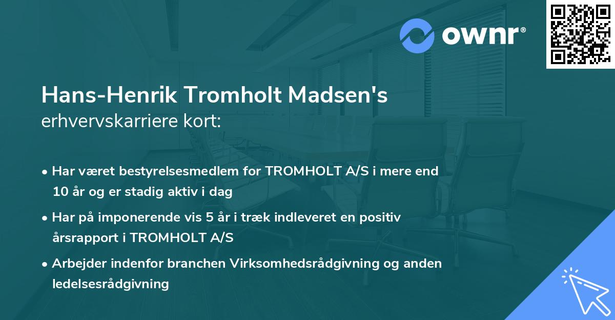 Hans-Henrik Tromholt Madsen's erhvervskarriere kort