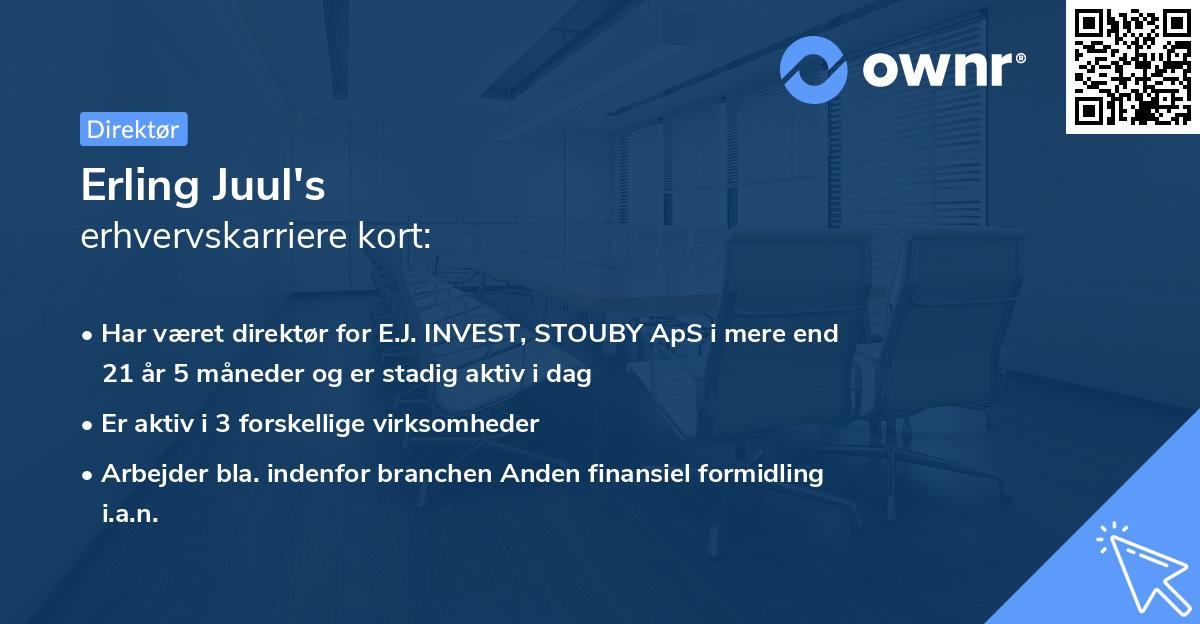 Erling Juul's erhvervskarriere kort