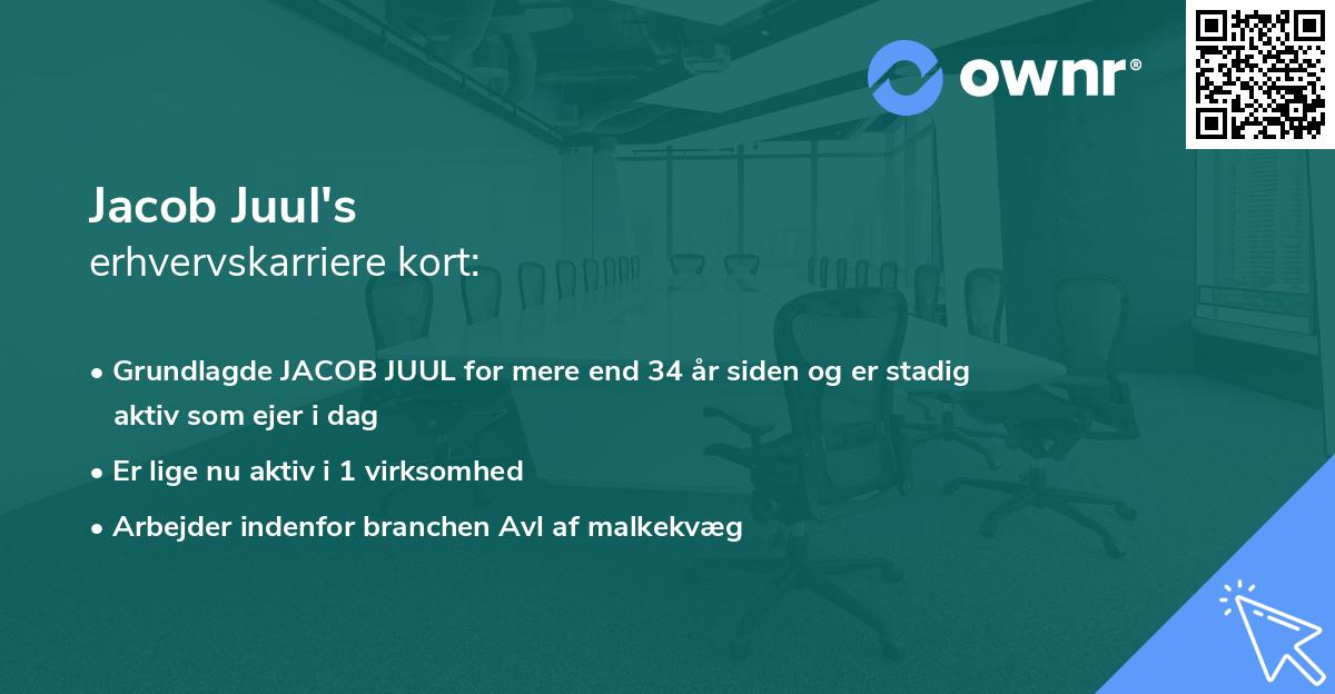 Jacob Juul's erhvervskarriere kort