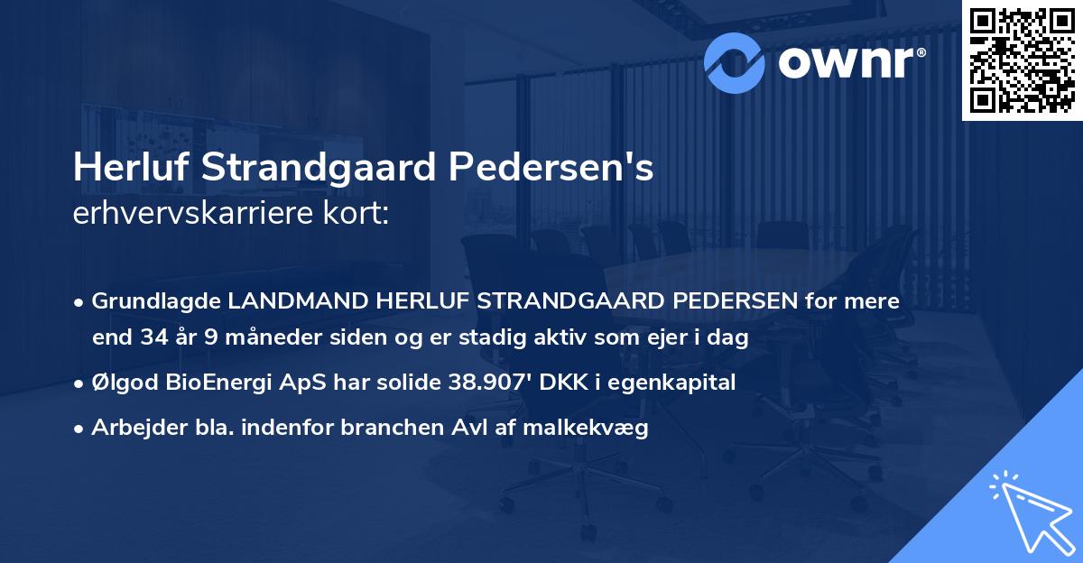 Herluf Strandgaard Pedersen's erhvervskarriere kort