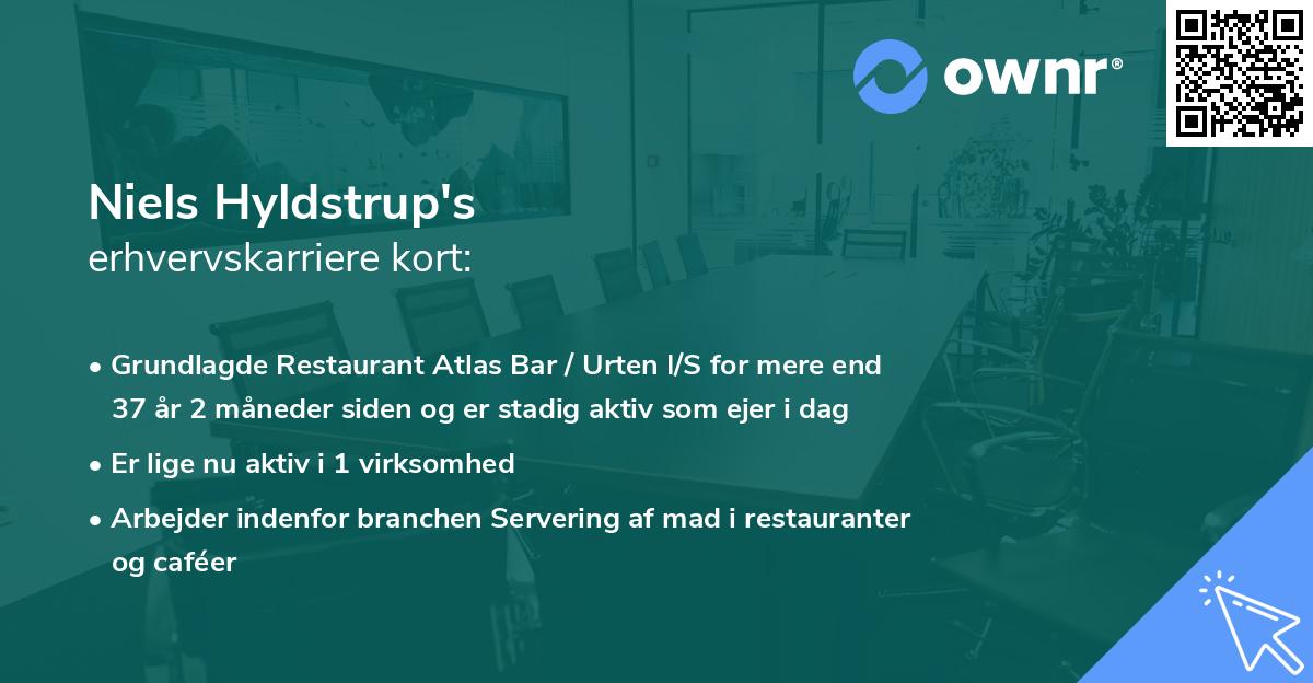 Niels Hyldstrup's erhvervskarriere kort