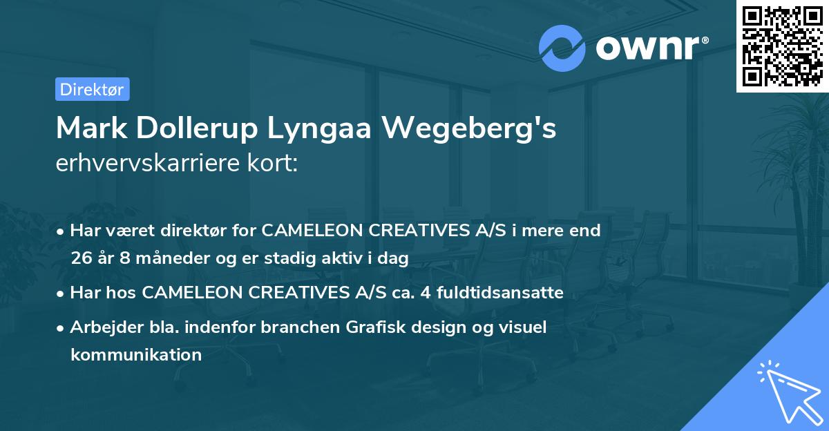Mark Dollerup Lyngaa Wegeberg's erhvervskarriere kort