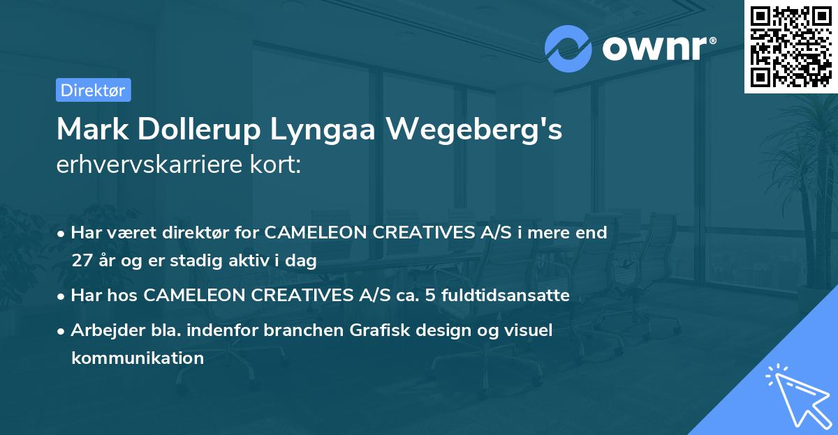 Mark Dollerup Lyngaa Wegeberg's erhvervskarriere kort
