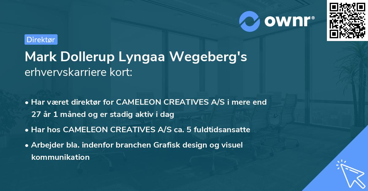 Mark Dollerup Lyngaa Wegeberg's erhvervskarriere kort