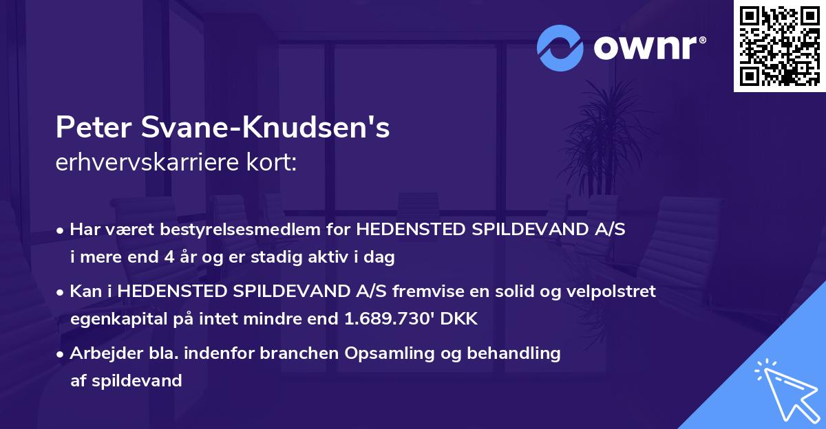 Peter Svane-Knudsen's erhvervskarriere kort