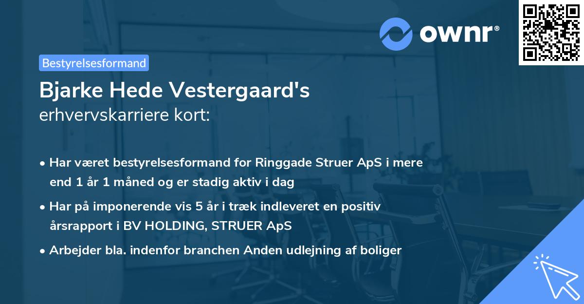 Bjarke Hede Vestergaard's erhvervskarriere kort