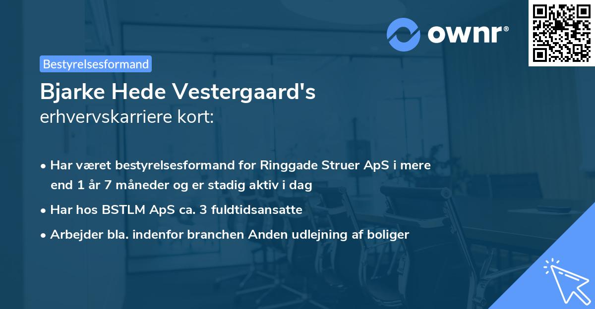 Bjarke Hede Vestergaard's erhvervskarriere kort