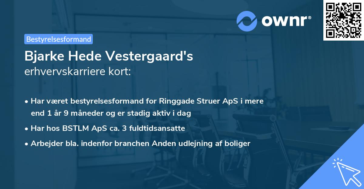 Bjarke Hede Vestergaard's erhvervskarriere kort