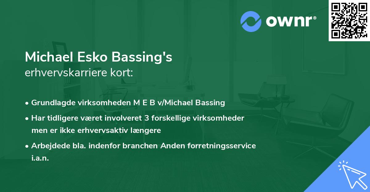 Michael Esko Bassing's erhvervskarriere kort