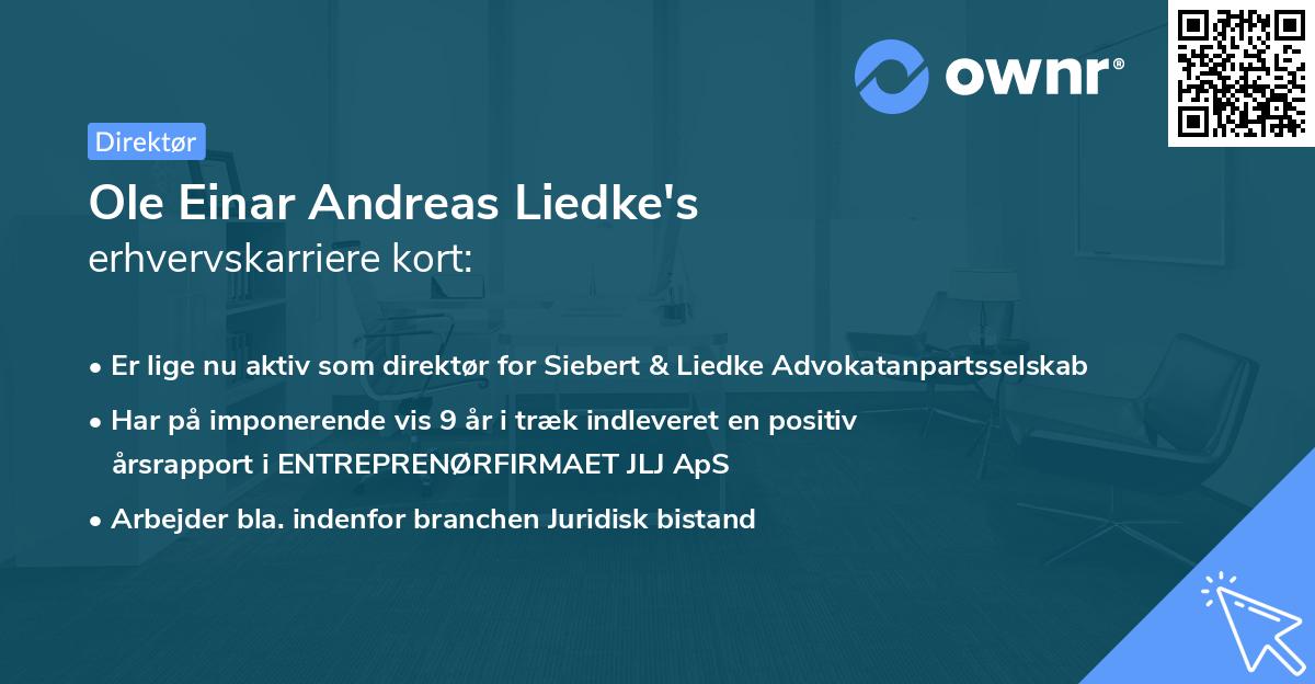 Ole Einar Andreas Liedke's erhvervskarriere kort