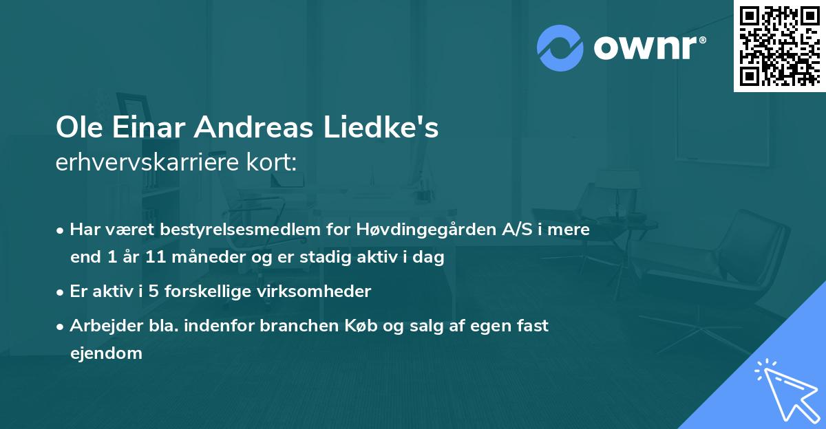 Ole Einar Andreas Liedke's erhvervskarriere kort