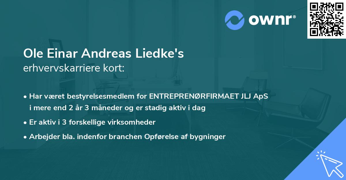 Ole Einar Andreas Liedke's erhvervskarriere kort