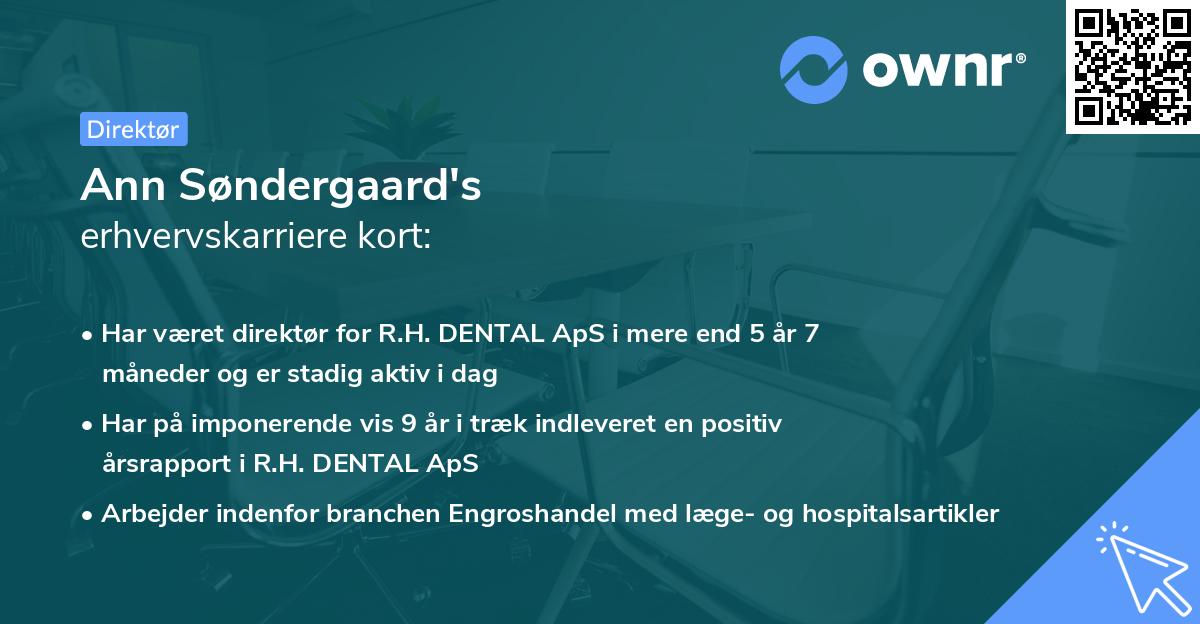 Ann Søndergaard's erhvervskarriere kort