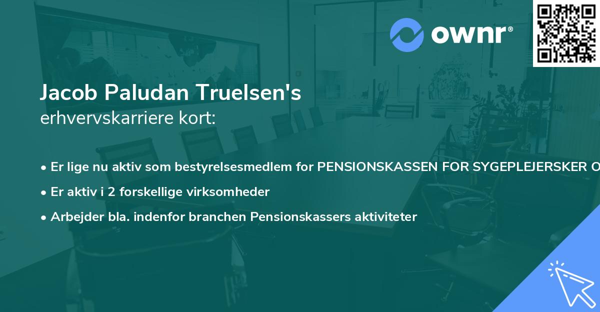 Jacob Paludan Truelsen's erhvervskarriere kort