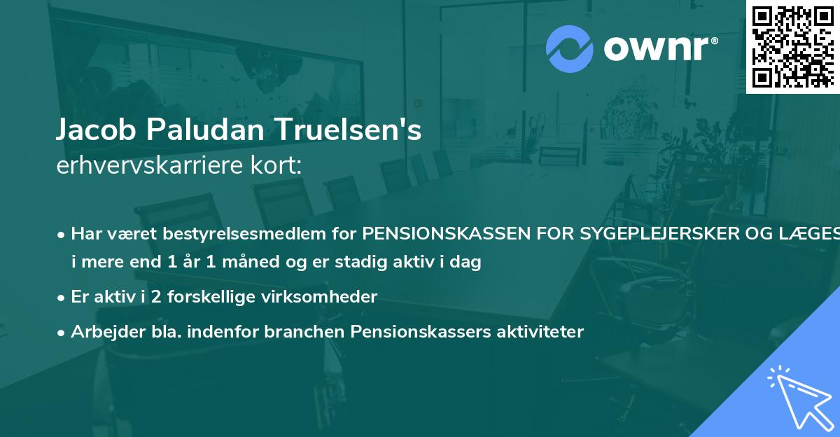 Jacob Paludan Truelsen's erhvervskarriere kort