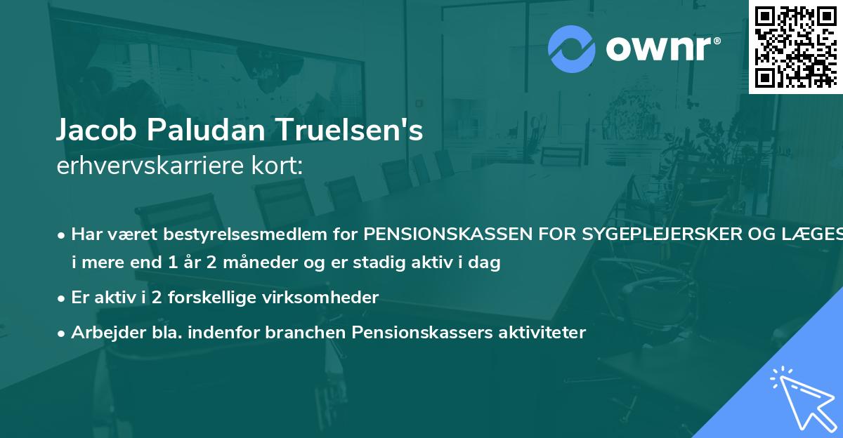 Jacob Paludan Truelsen's erhvervskarriere kort