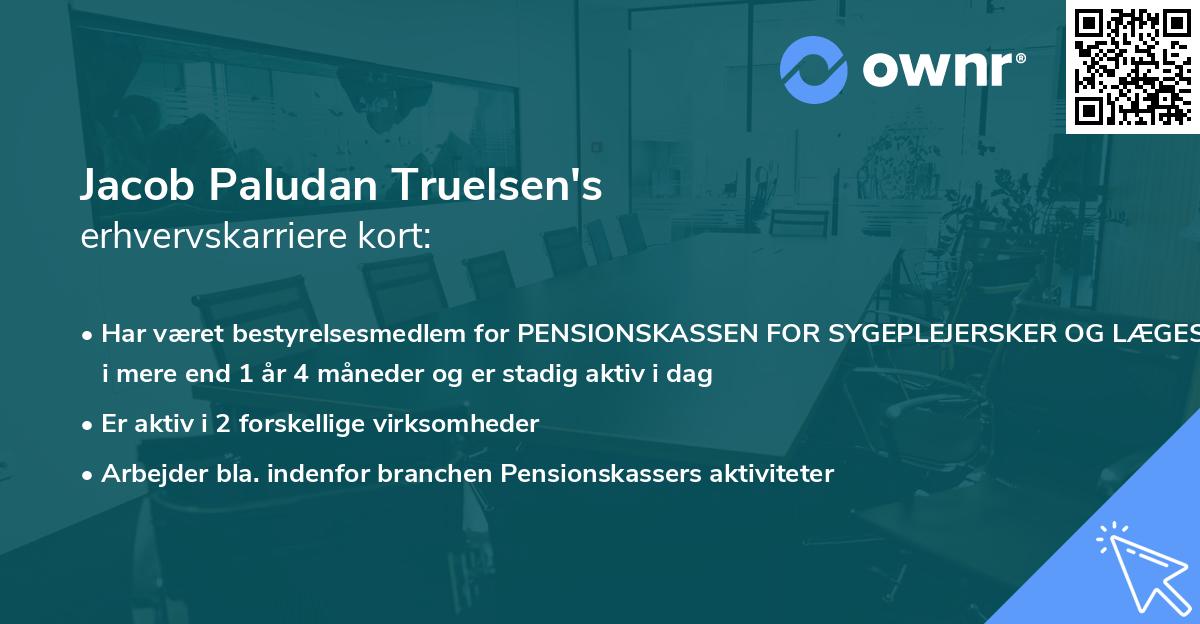 Jacob Paludan Truelsen's erhvervskarriere kort