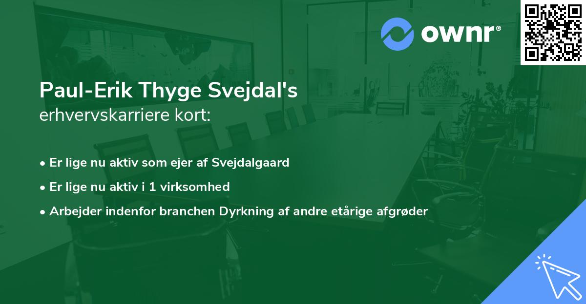 Paul-Erik Thyge Svejdal's erhvervskarriere kort