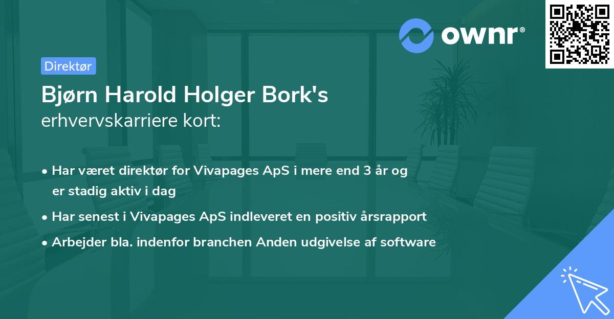 Bjørn Harold Holger Bork's erhvervskarriere kort