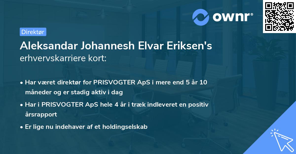 Aleksandar Johannesh Elvar Eriksen's erhvervskarriere kort