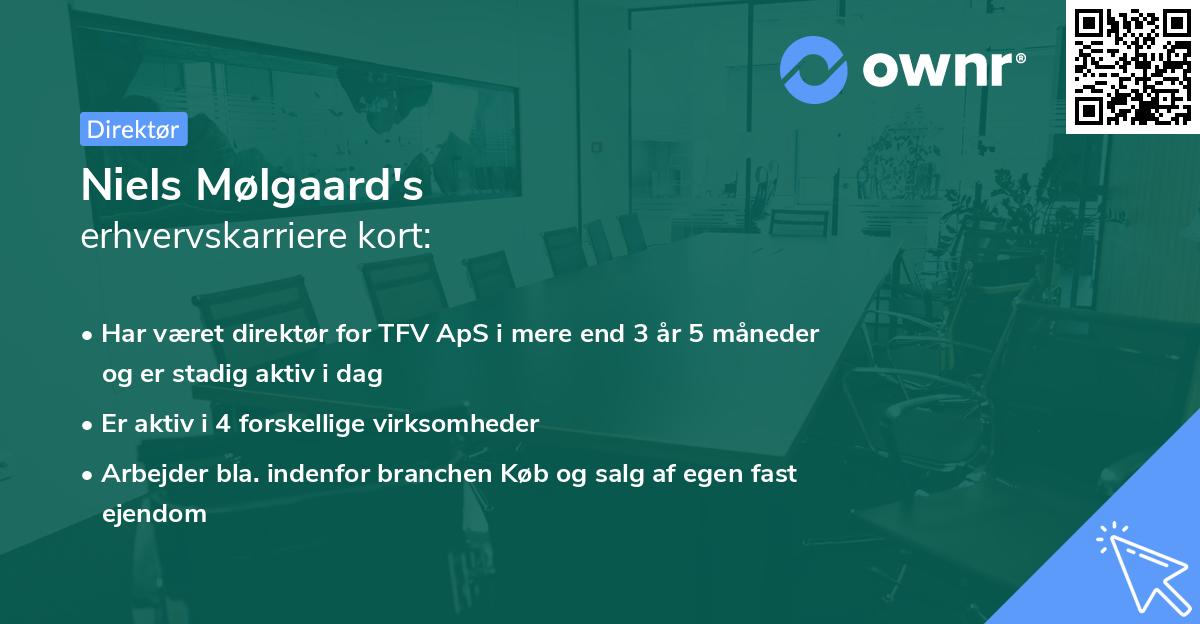 Niels Mølgaard's erhvervskarriere kort