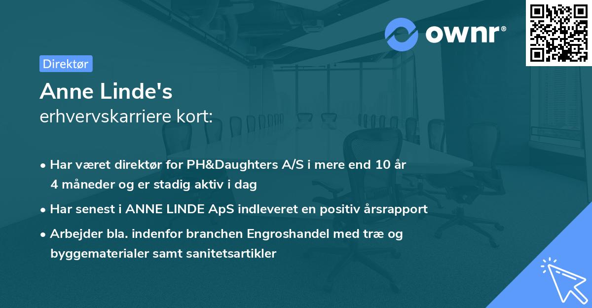 Anne Linde's erhvervskarriere kort