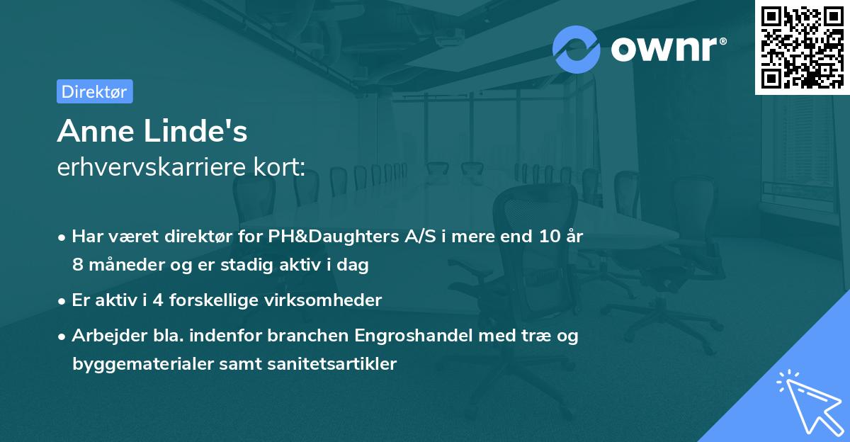 Anne Linde's erhvervskarriere kort