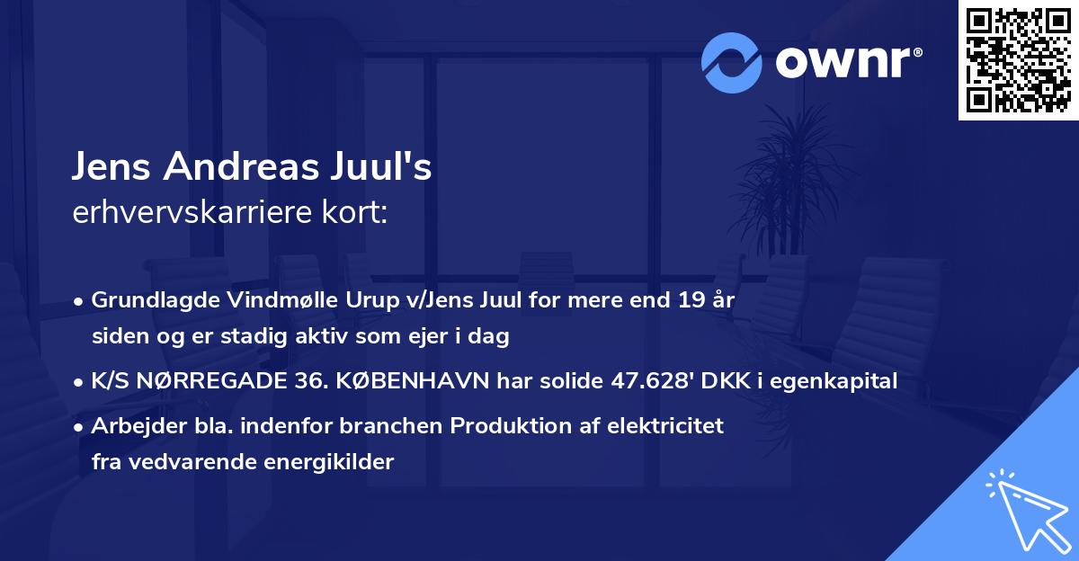 Jens Andreas Juul's erhvervskarriere kort