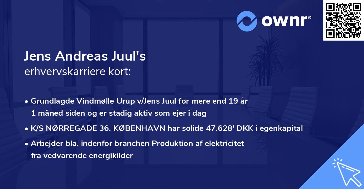 Jens Andreas Juul's erhvervskarriere kort