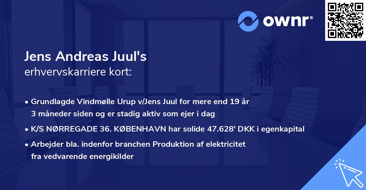 Jens Andreas Juul's erhvervskarriere kort