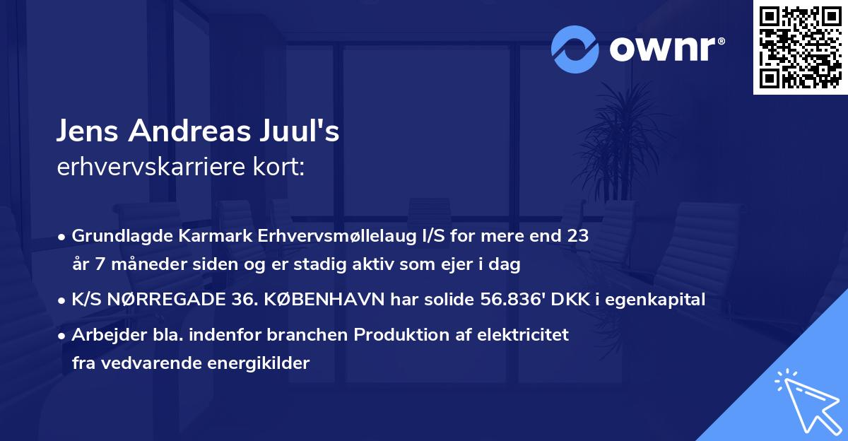 Jens Andreas Juul's erhvervskarriere kort