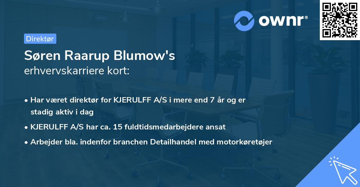 Søren Raarup Blumow's erhvervskarriere kort