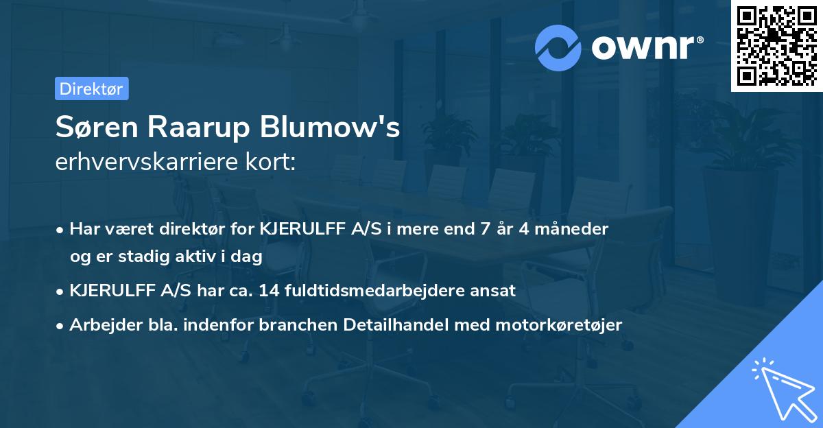 Søren Raarup Blumow's erhvervskarriere kort