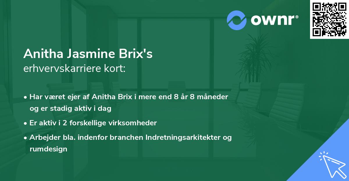 Anitha Jasmine Brix's erhvervskarriere kort