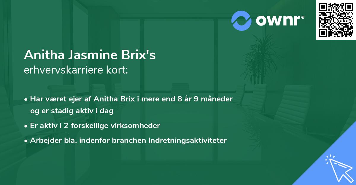 Anitha Jasmine Brix's erhvervskarriere kort